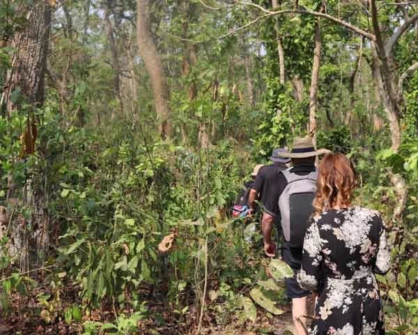 Jungle and Wildlife Safari in Nepal