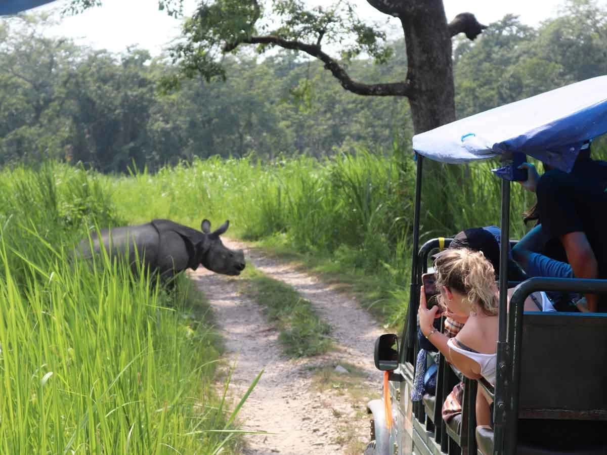 Jeep Safari in Chitwan