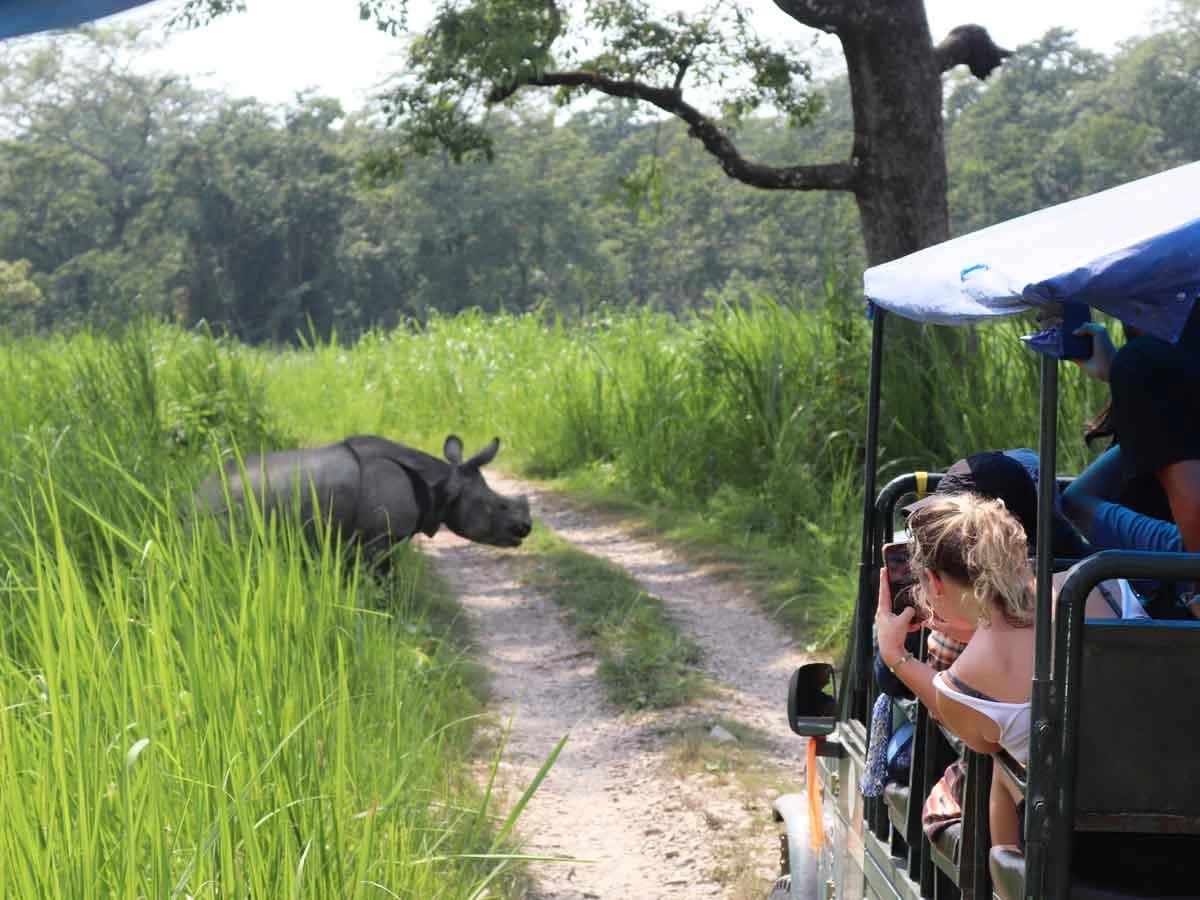 Jungle Safari in Chitwan