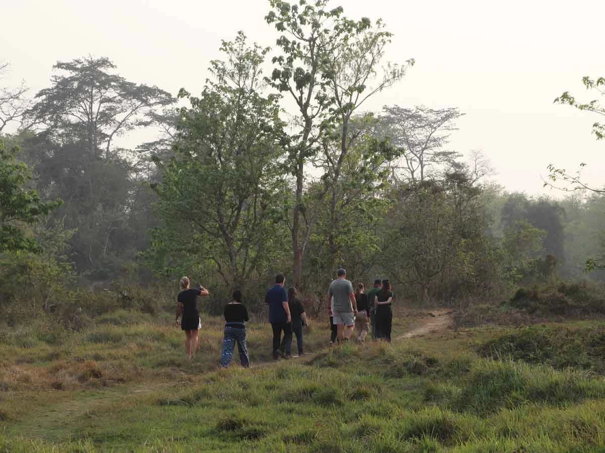 Jungle Walking in Chitwan National Park