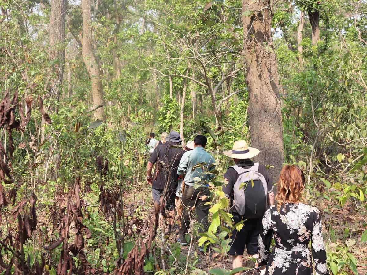 Chitwan Jungle Safari