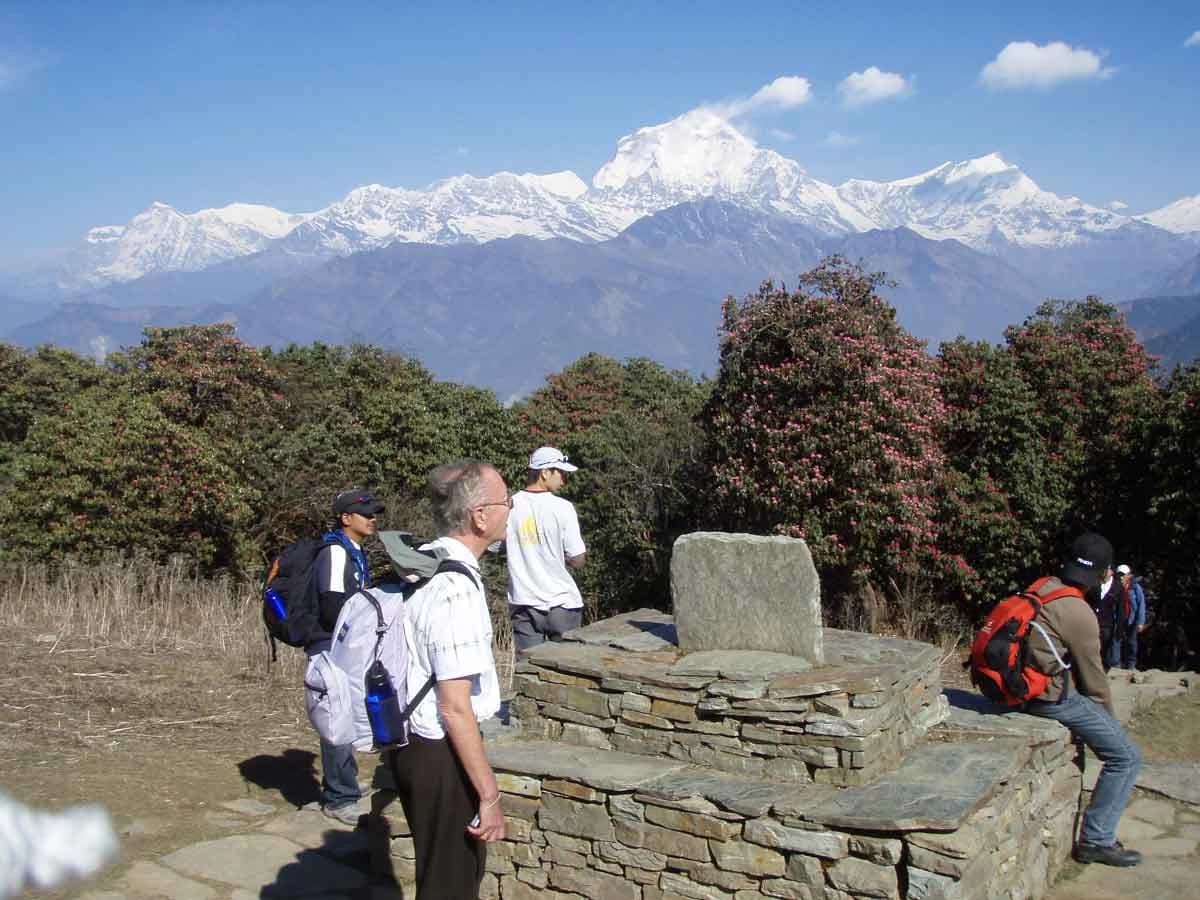 ABC Trek with Poon Hill and Mardi Himal