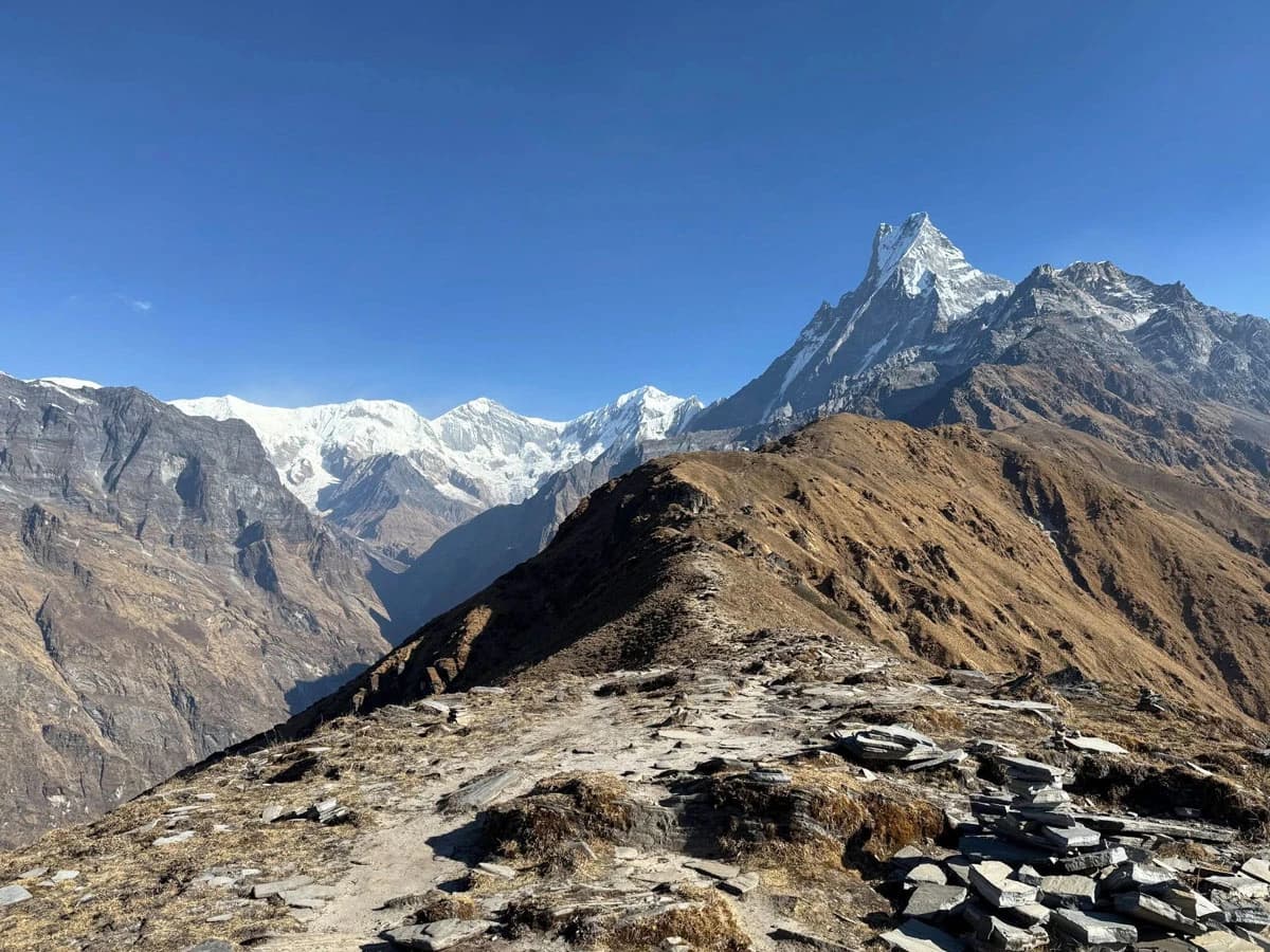 The Mardi Himal Trail
