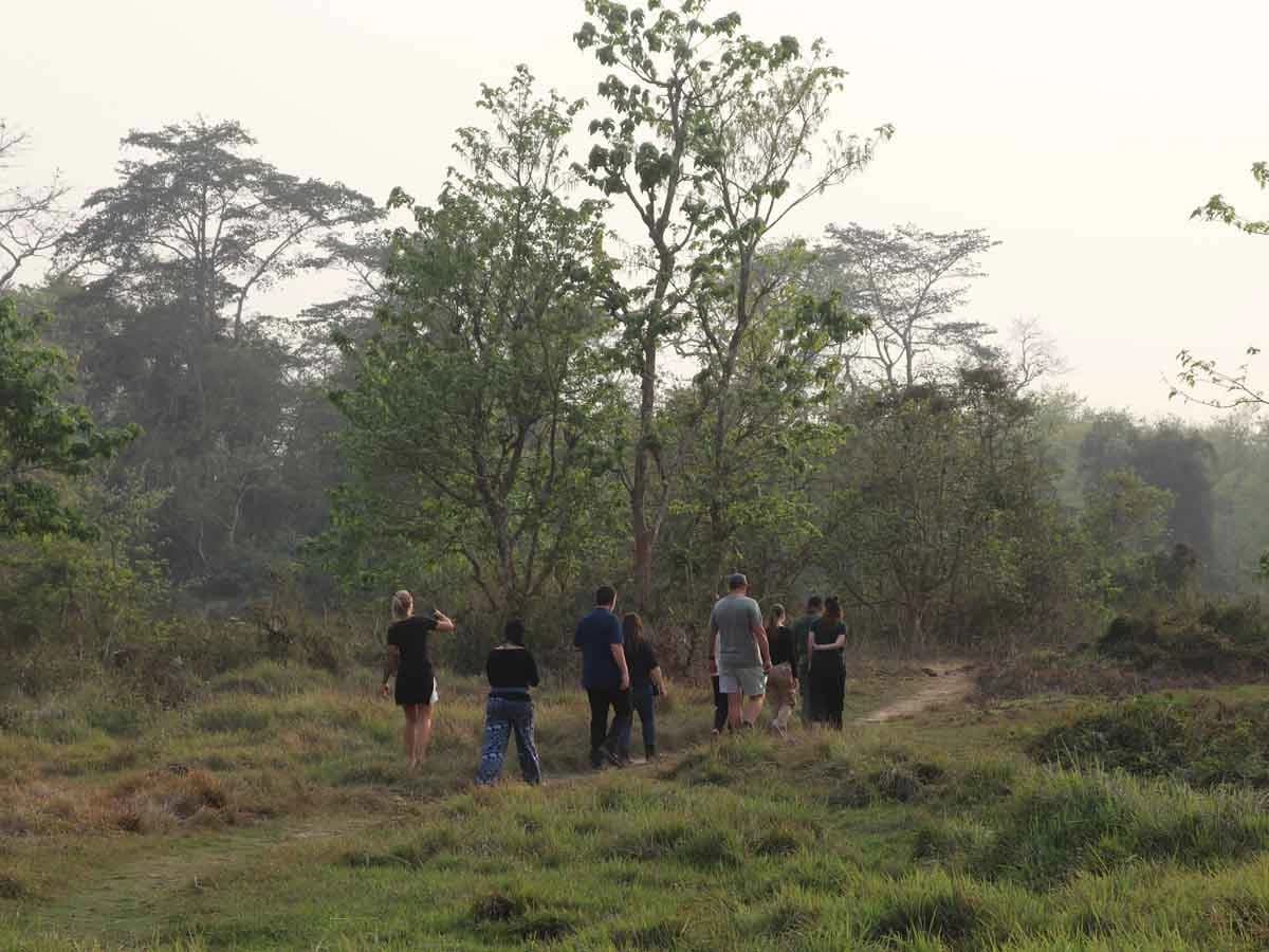 Wild life safari in Chitwan Nepal