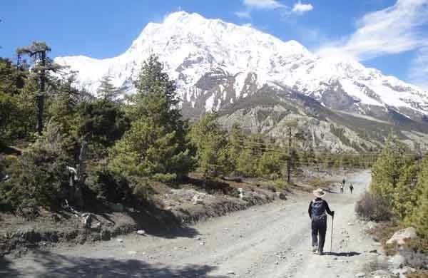 Annapurna Circuit and Base Camp Trek
