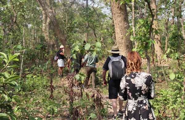 Chitwan Jungle Safari