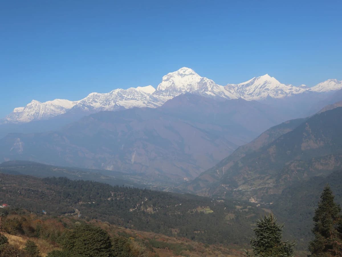 Dhaulagiri Himalaya From Poon Hill