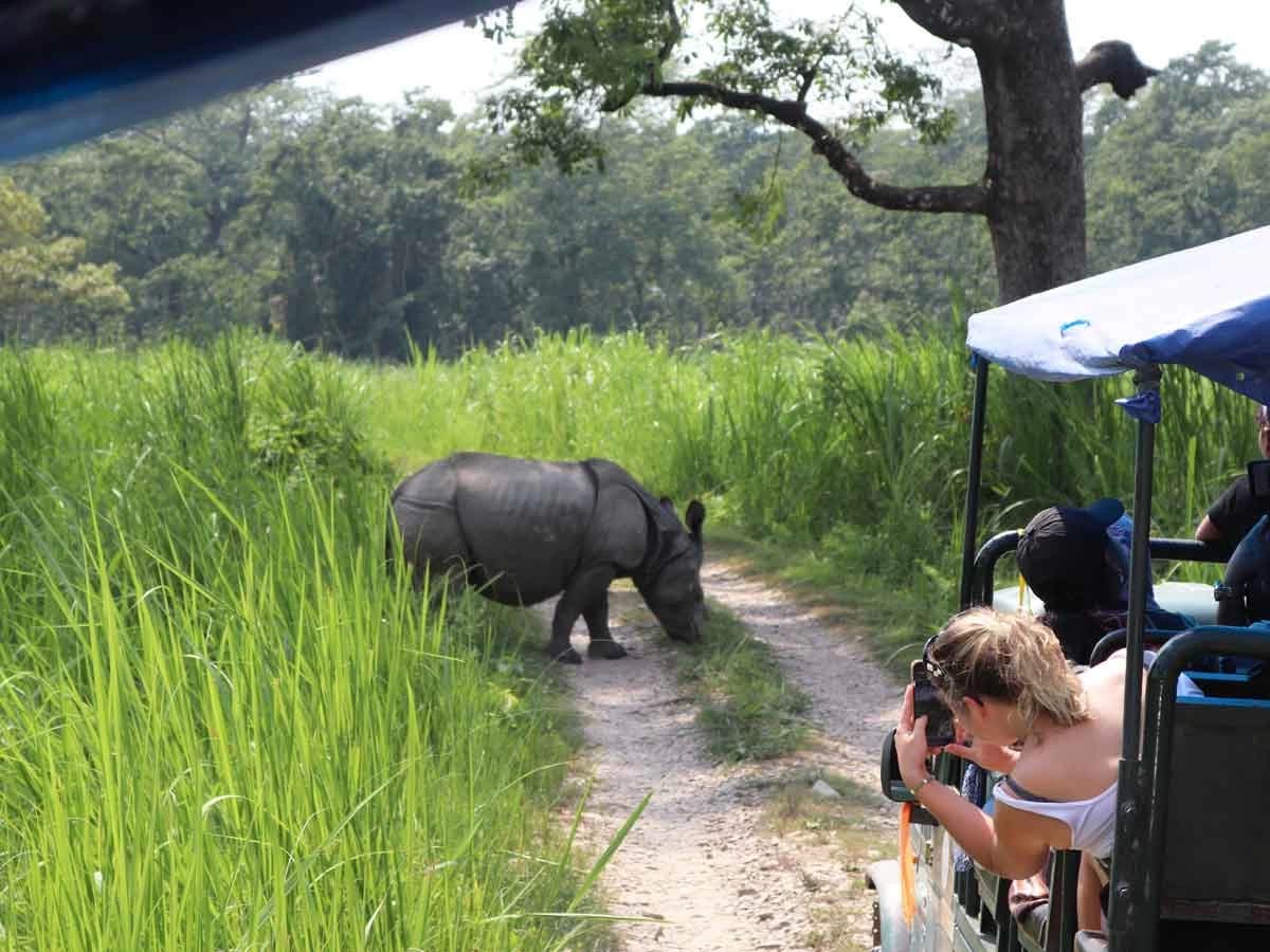 Jeep Safari In Chitwan