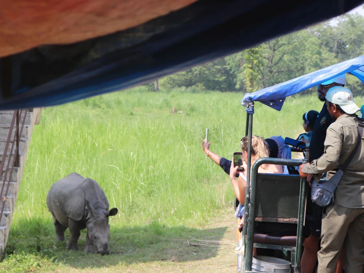 Jungle Safari Chitwan