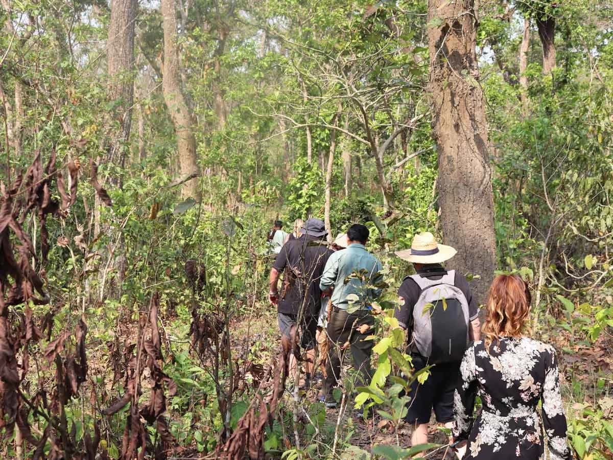 Jungle Walking In Chitwan National Park 1
