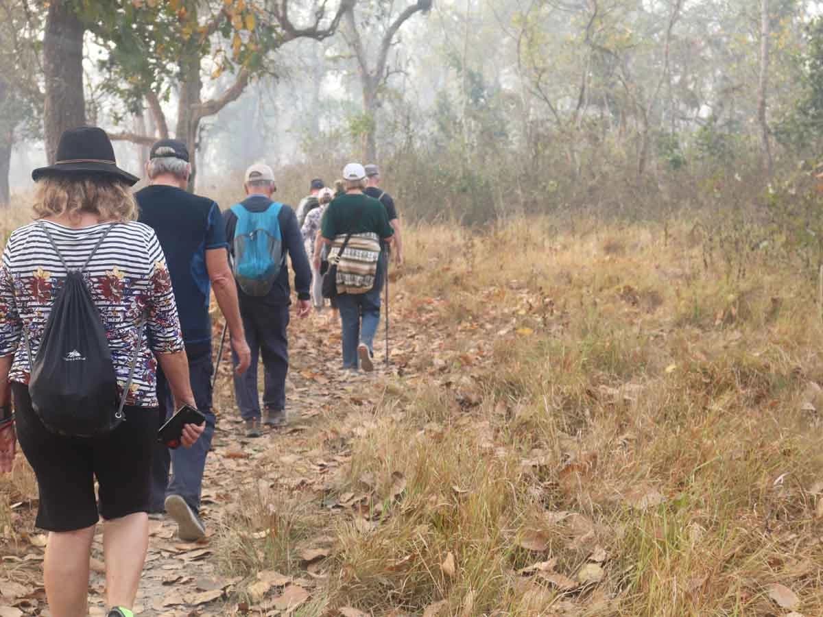 Jungle Walking In Chitwan National Park Nepal
