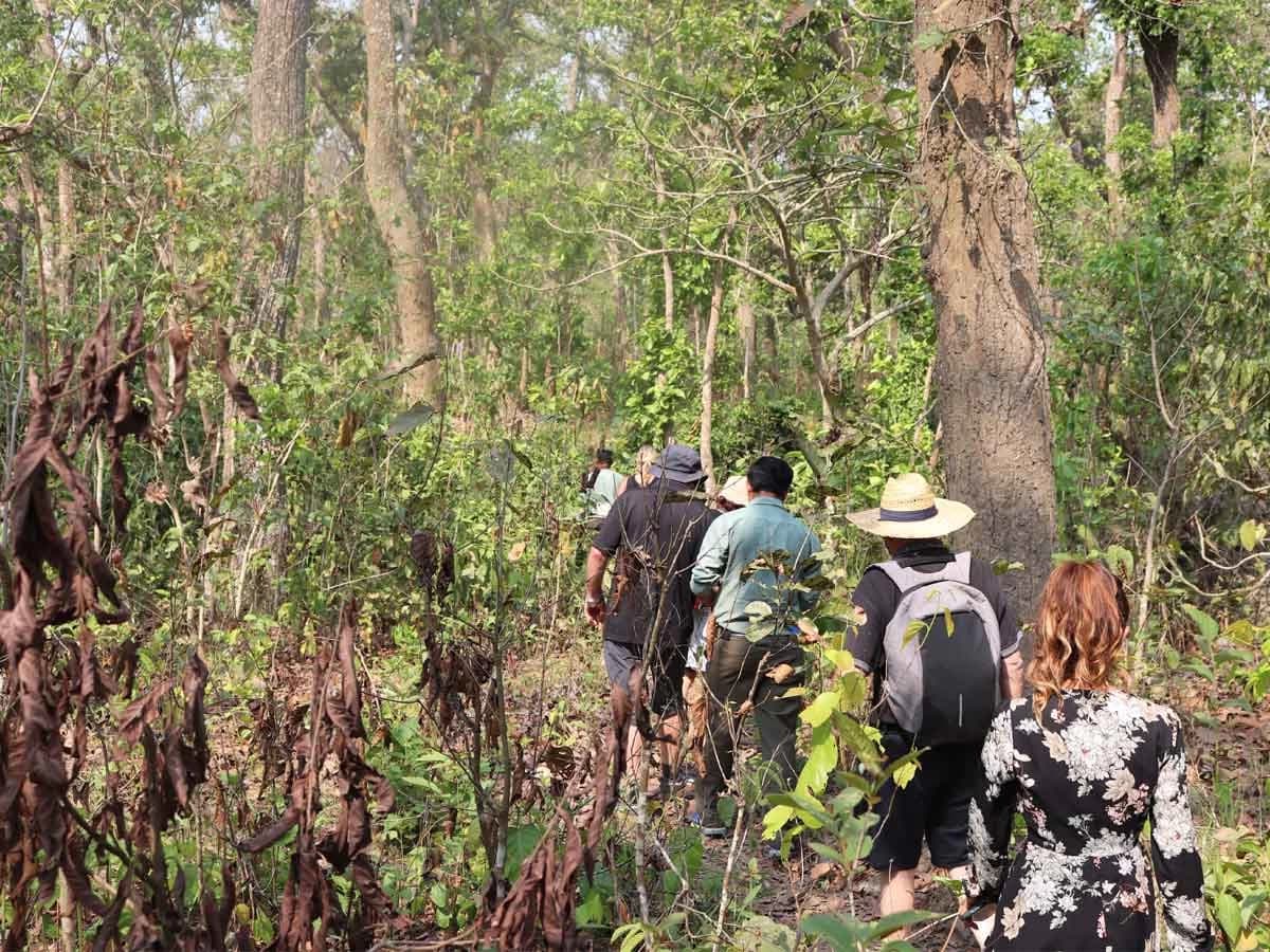 Jungle Walking In Chitwan National Park