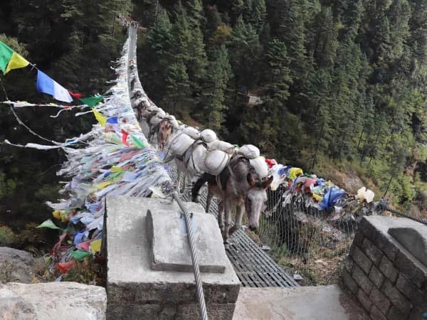 Bridge To Ross On Renjo La Pass Trek