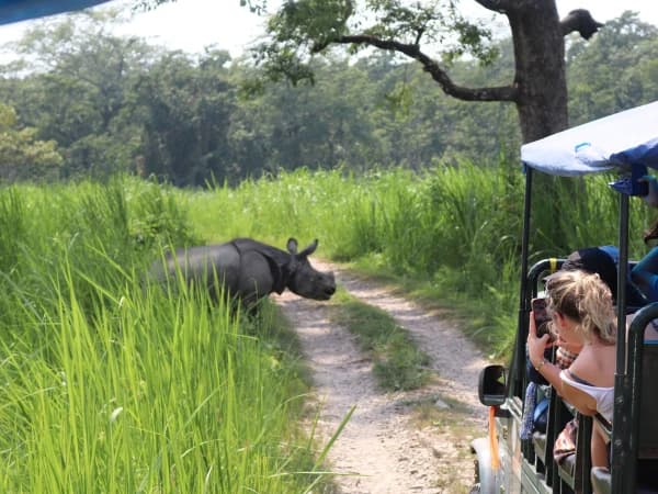 Jeep Safari In Chitwan 2
