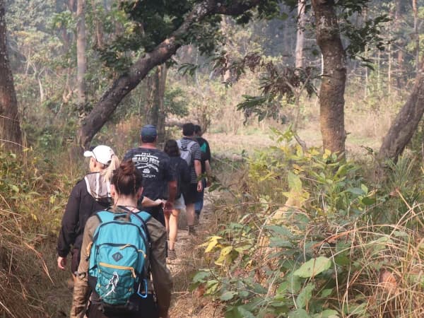 Jungle Walking In Chitwan 3