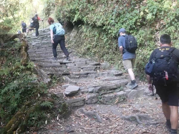 Walking Towards Ghorepani Village