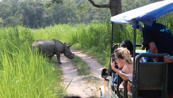Jeep Safari In Chitwan