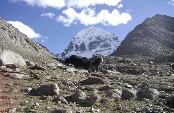 Kailash Mansarovar Tour