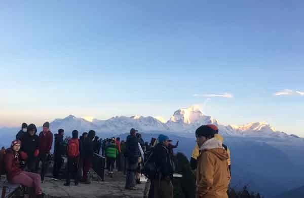 Short Poon Hill Trek