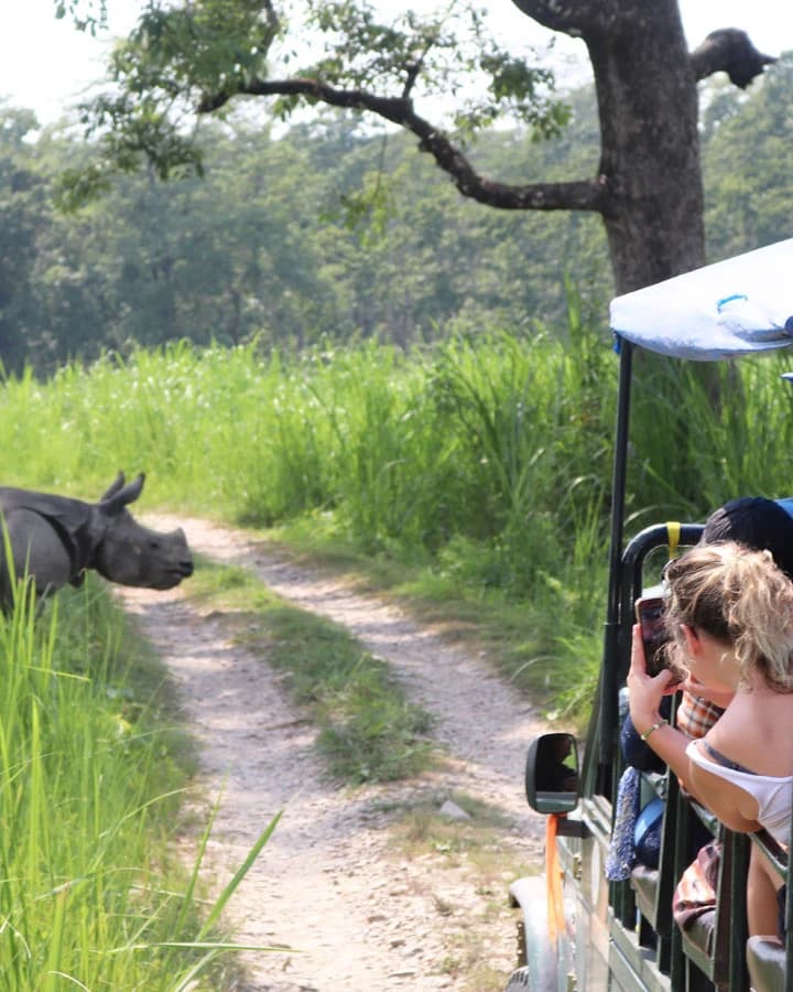 Explore Chitwan Jungle by Jeep