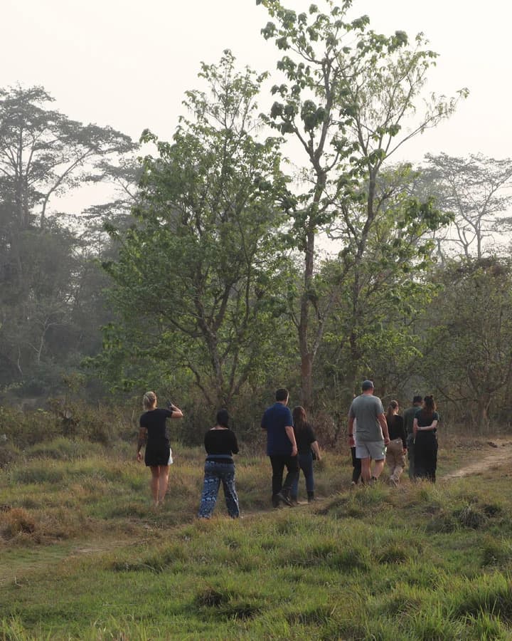 Jungle Walking in Chtiwan