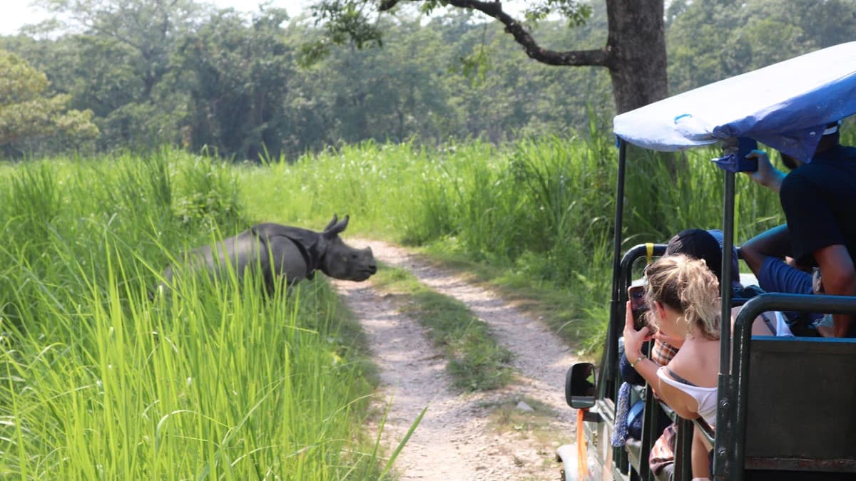 Jeep Safari in Chitwan National Park